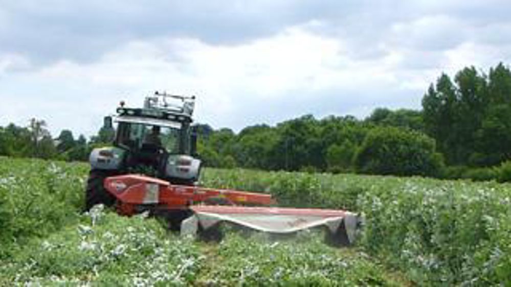 Les mélanges de protéagineux ensilés. 
Intégrés dans la rotation avant une prairie, les mélanges protéagineux ensilés apportent un fourrage riche en MAT et en énergie.  Leur utilisation en dérobé, semé à l’automne avant un maïs, dépend du ­contexte climatique.